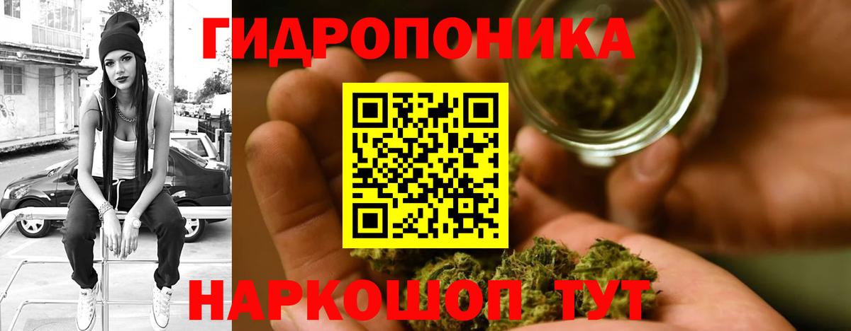 Заводоуковск  Бошки марихуана MAZAR  Бошки марихуана OG Kush  МАРИХУАНА сатива  Марихуана семена  Вход с VPN 